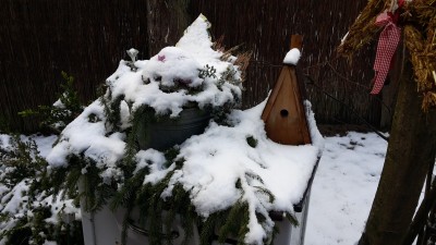 1 Grad, Regen und schon ist die weiße Pracht wieder dahin. Bei dem Schmuddelwetter kommt ein gemütlicher Fernsehabend genau richtig.