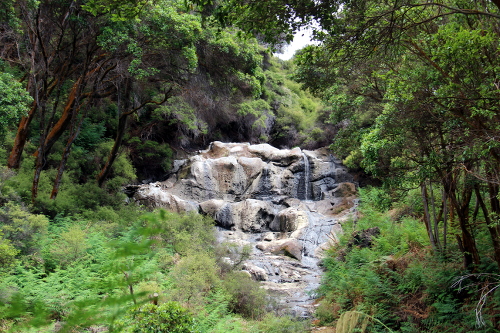 An den Kahaki Falls haben sich die Maori-Krieger nach dem Kampf vom Tapu des Tötens rein geschwaschen (die haben nur 40°C).